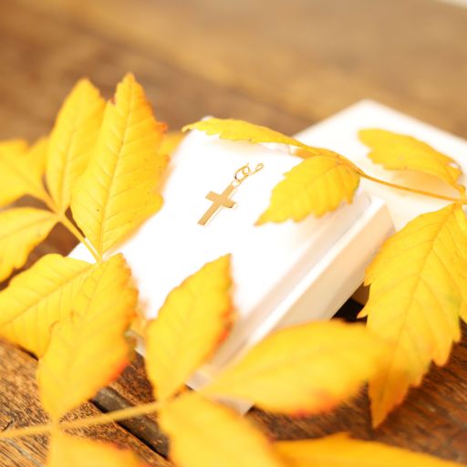 petite croix en or jaune 9 carats 16 mm - 2